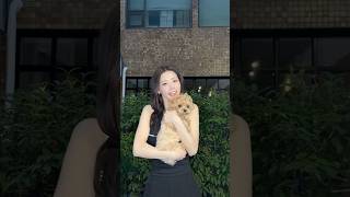 다이죠브이데쇼 🐶
