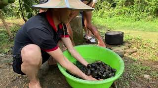 Thin Sn Kham Ph  c c c c Qu Ngon n Qu   Snails Are So Delicious