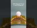 Gold Coin Magnet Simulation