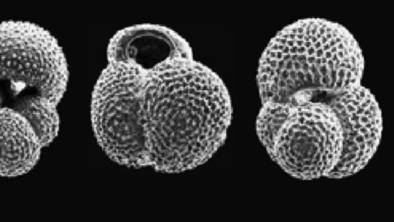 Paleoclimate: Climate Proxies