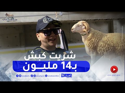 الشاب رشدي اين ناس لاباس بيهم وماقدروش يشرو كبش أنا شريت بواحد 14 مليون