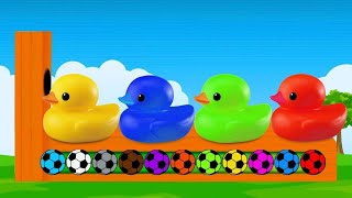 تعليم الألوان للأطفال باللغة العربية و الإنجليزية مع الكرات الملونة كرتون بدون موسيقى colors