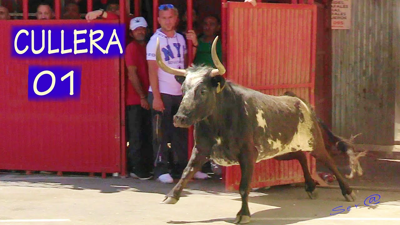 ✅2023 CULLERA 01 ENTRA Ganadería Gregorio de Jesús