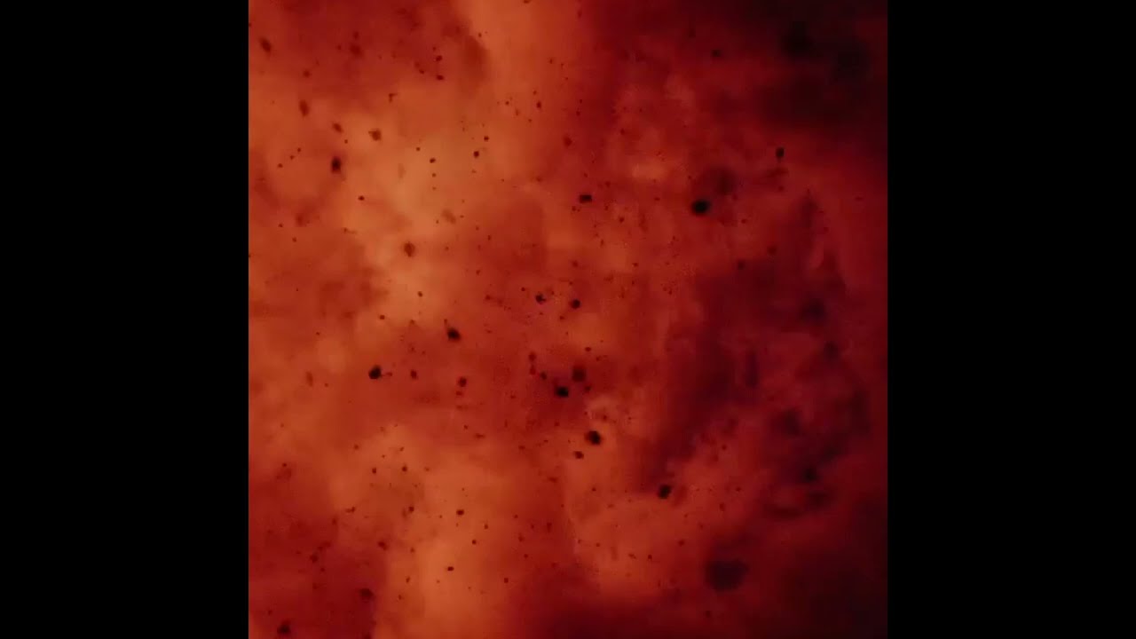 [free] yeat + 2093 + bnyx type beat 