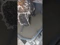 هوفر لغسيل السجاد