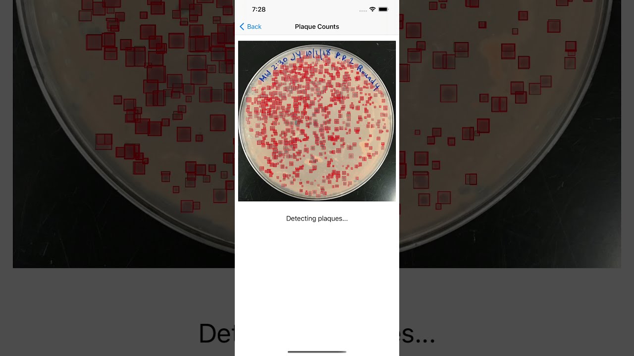 OnePetri: A mobile phone app for counting bacteriophage Plaques and bacterial colonies on a plate