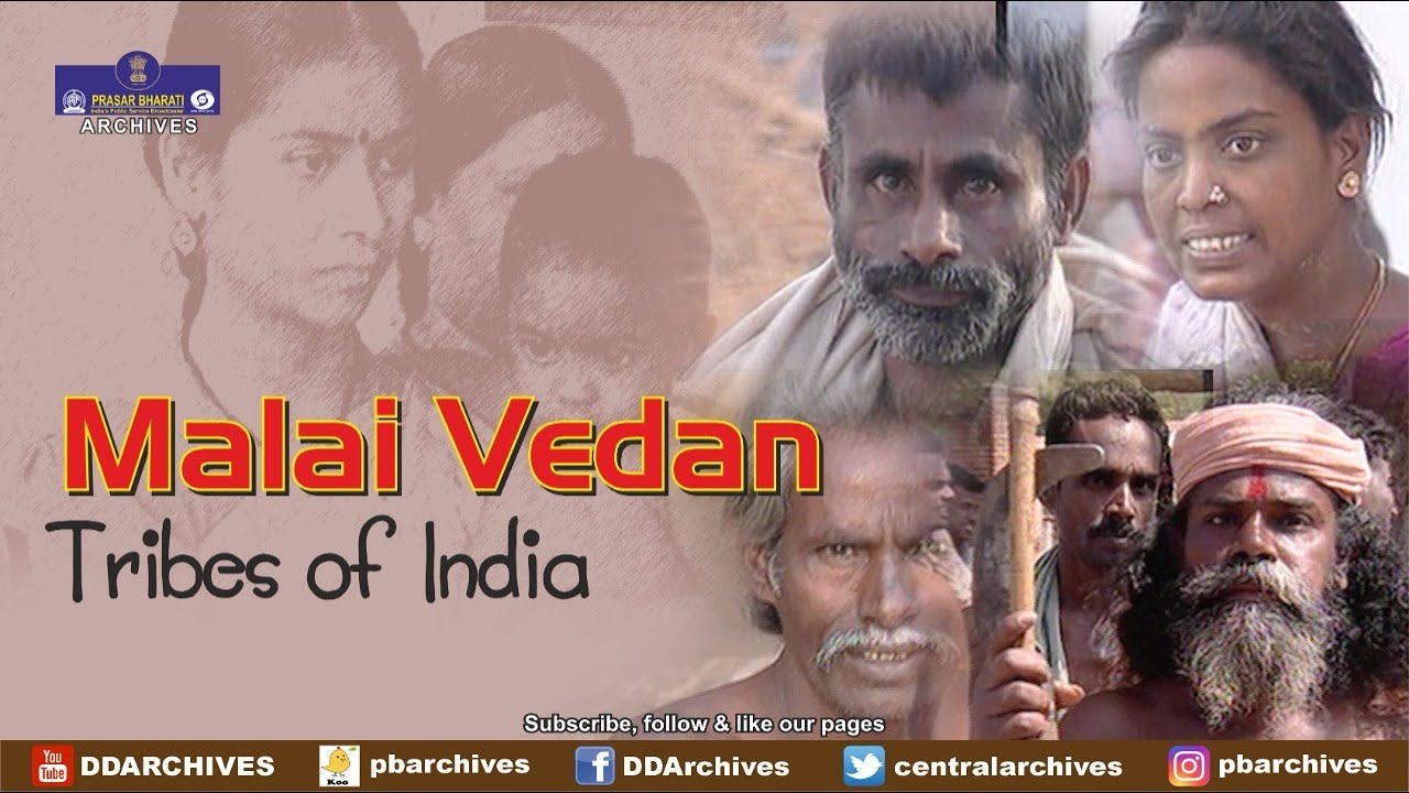 Malai Vedan Tribe | Tribes of India