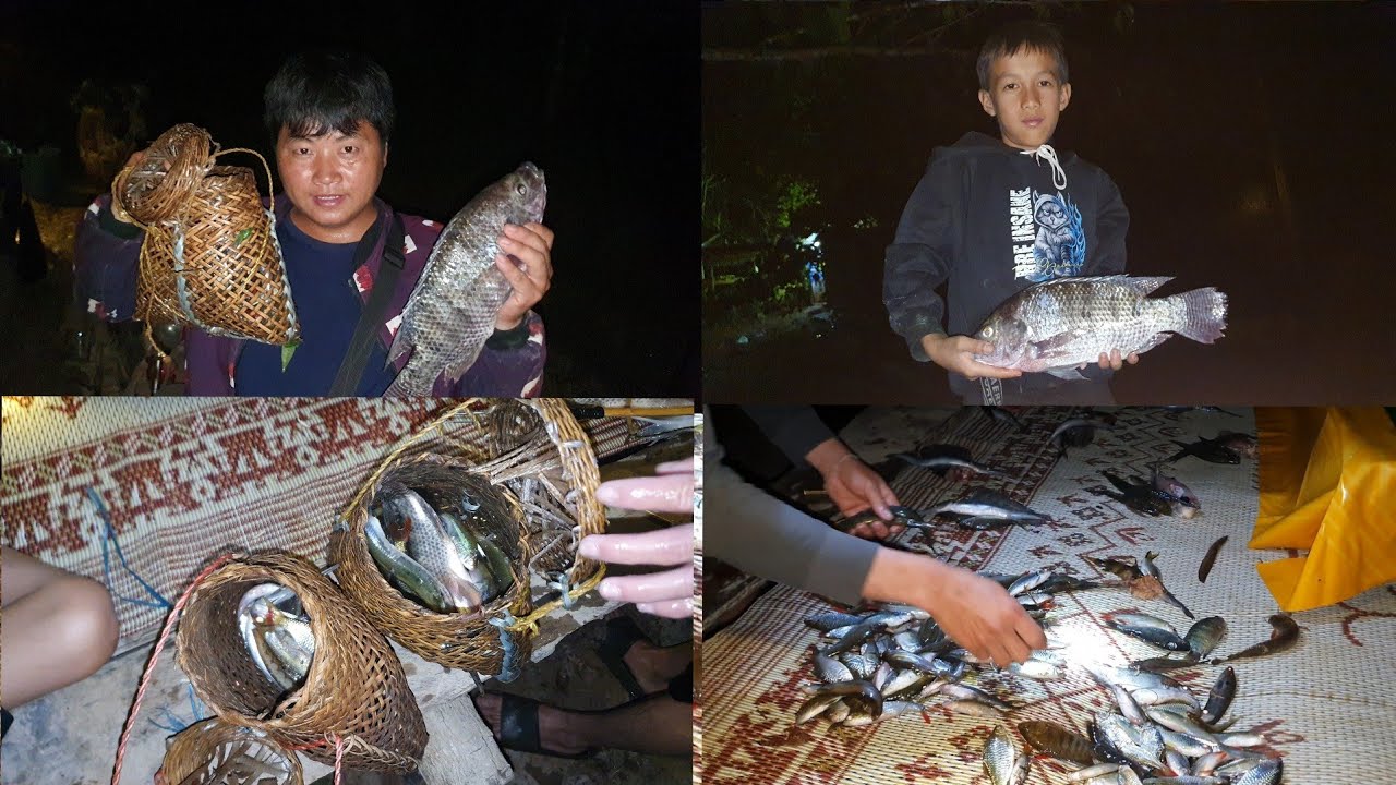 Hmo no mus tua ntses laib ntau kawg li 22 .2. 2026