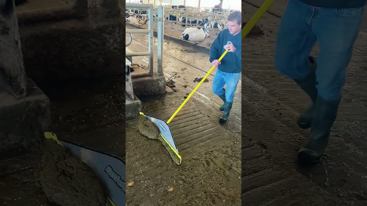 The Smartest way to Clean your dairy Farm 🤯
