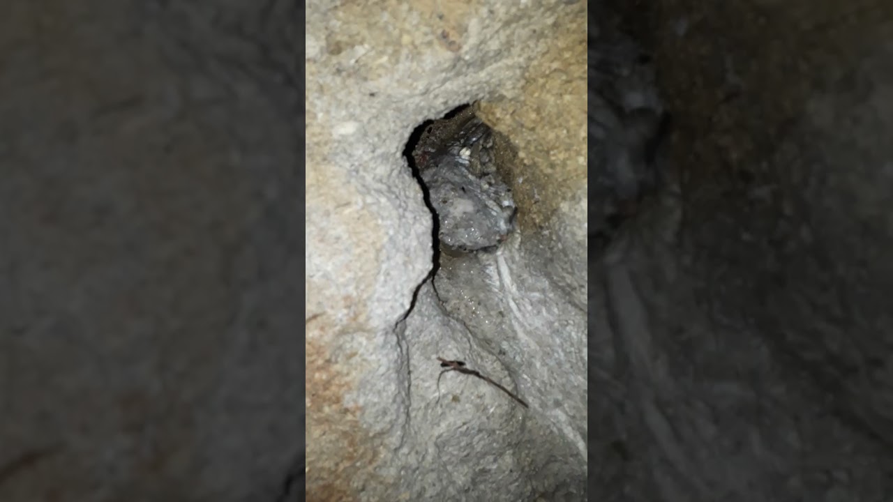 وهي خلصنا دحر اليوم الحمدلله تابع لأخر الفيديو وشوف تحت الارض 😱