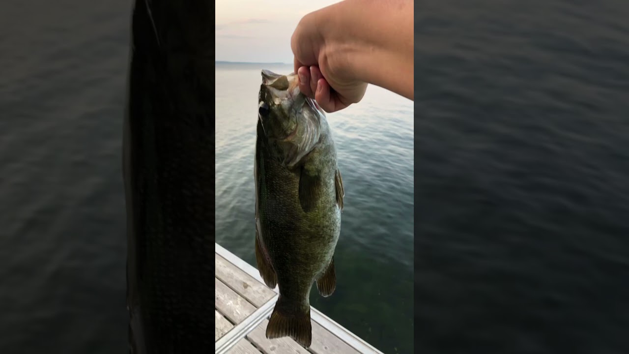 Another nice small mouth ￼￼￼