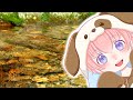 水の波紋 / 柚葉 Yuzuha【オリジナル】Nature Sounds Babbling Brook Sounds　#naturesounds