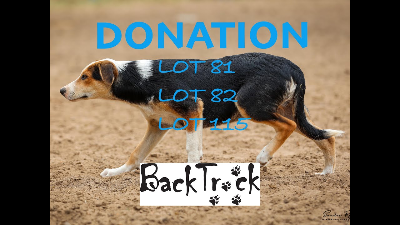BACK TRACK DOG PENS 81 82 115 YouTube back-track-dog-pens-81-82-115-youtube