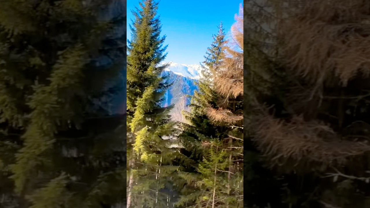 #SwitzerlandTrainRide