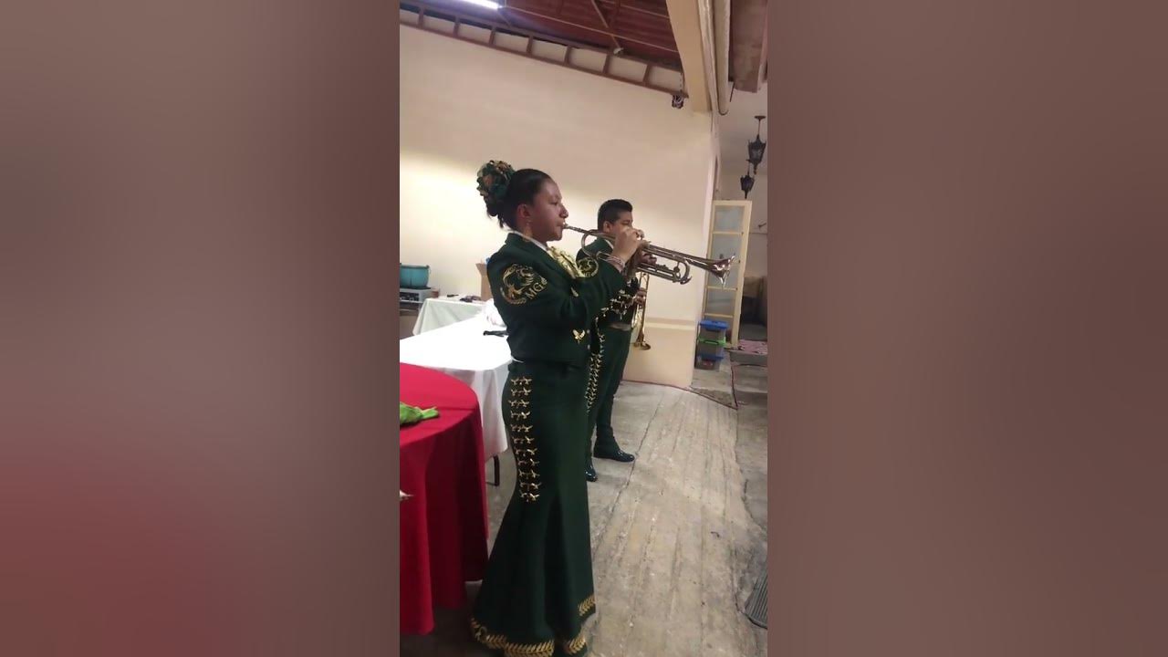 Solo de Trompeta - Así fue 🤩