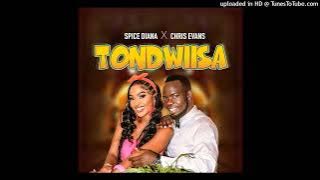 CHRIS EVANZ & SPICE DIANA TONDWISA   HQ AUDIO