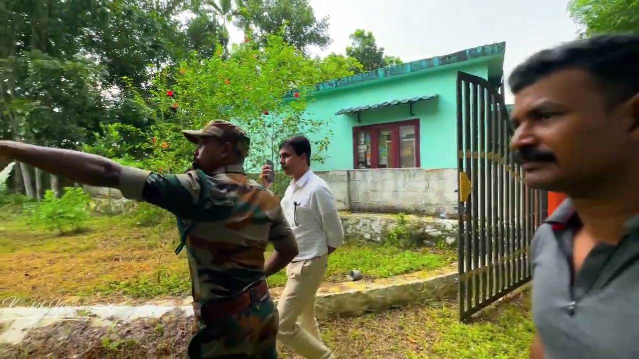 തലവേദനയായി ഒരു കടുവ എവിടെ തിരിഞ്ഞാലും കടുവ | tiger attack | vadaserikara | tiger story| tiger latest