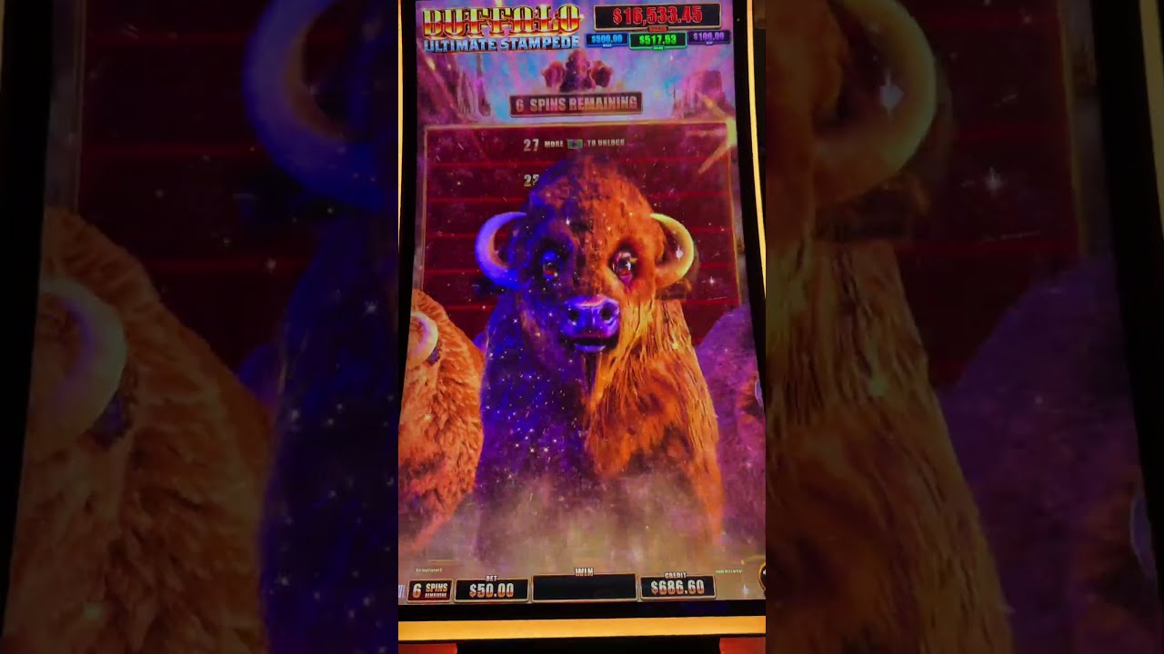 Pt 1 My Biggest Win Yet Slot Slotscasinogames Casino Slotmachine Jackpot Bigwin Vegas