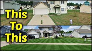 How I Transformed My Lawn WITHOUT A Complete Renovation