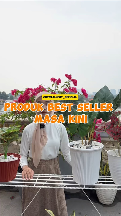 Ini Dia Produk Pot Bunga Terbaru Paling Best Seller ‼️#potbunga #berkebun #shorts #shortsfeed #fyp