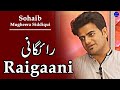 Sohaib mugheera siddqui urdu shayari  nazm raigaani  urdu poetry