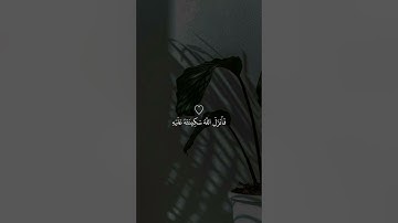 فانزل الله سكينته عليه وايده بجنود لم تروها| سوره التوبة|#عبد الرحمن_مسعد|حالات واتس|ايات مواساة♥.