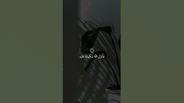 فانزل الله سكينته عليه وايده بجنود لم تروها| سوره التوبة|#عبد الرحمن_مسعد|حالات واتس|ايات مواساة♥.