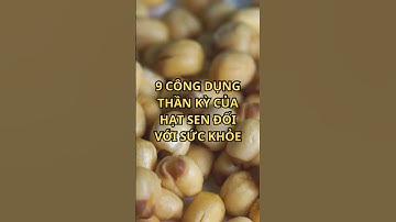9 CÔNG DỤNG THẦN KỲ CỦA HẠT SEN ĐỐI VỚI SỨC KHỎE #viral #trending #shortvideo #shortsviral #new