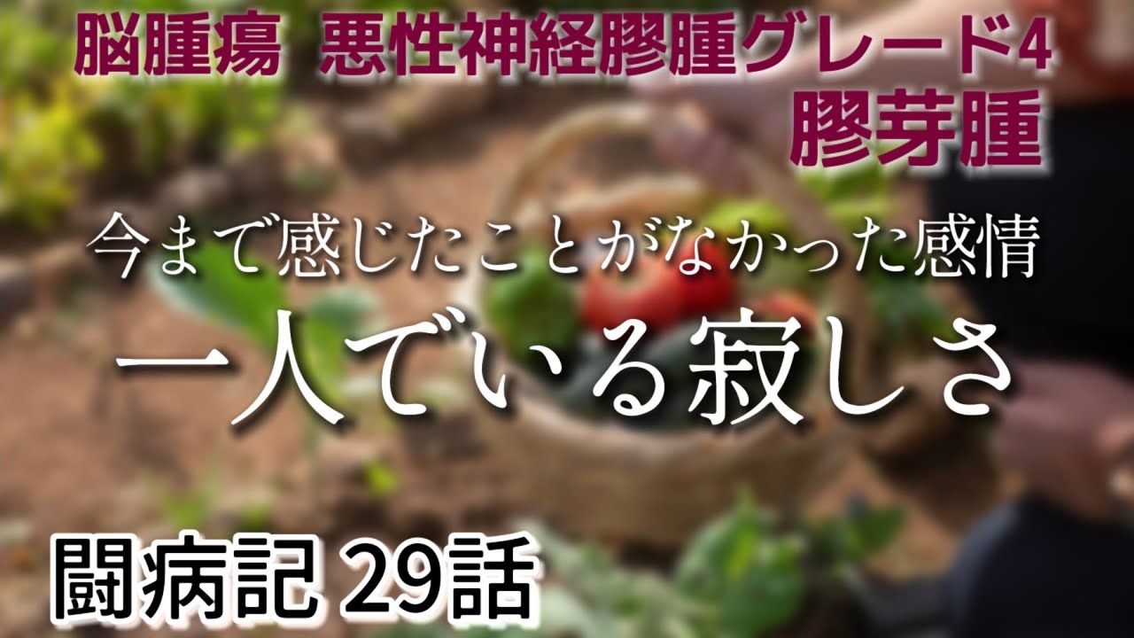 ダニ捕り達人TORUBE 2025年最新】torubeの人気アイテム - メルカリ