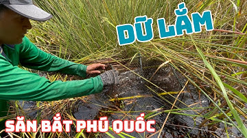 CÁCH TÔI ĐẶT LỜ MÙA NƯỚC NỔI DÍNH CÁ THẤY MÊ | Fish trap