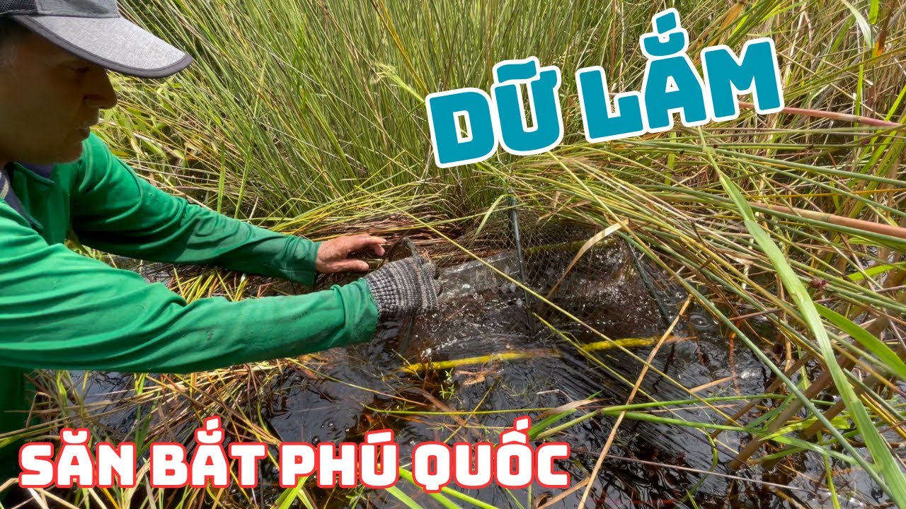 CÁCH TÔI ĐẶT LỜ MÙA NƯỚC NỔI DÍNH CÁ THẤY MÊ | Fish trap
