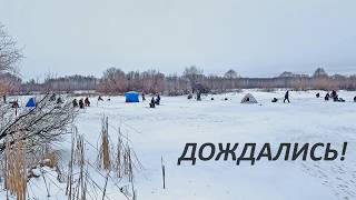 Второй первый лёд. РЫБАЧАТ ВСЕ. Зимняя рыбалка. На микроджиг из лунки. Кивок помог!