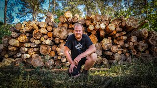 14.000 kg Holz gekauft