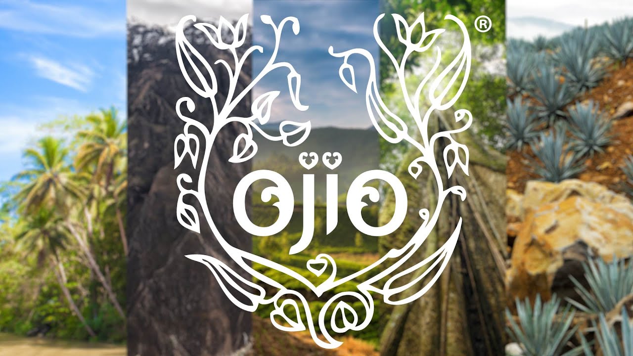 The World's Most Beneficial Foods YouTube