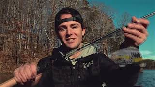 Dobyns Rods - Frenzy 704 MH Spinning