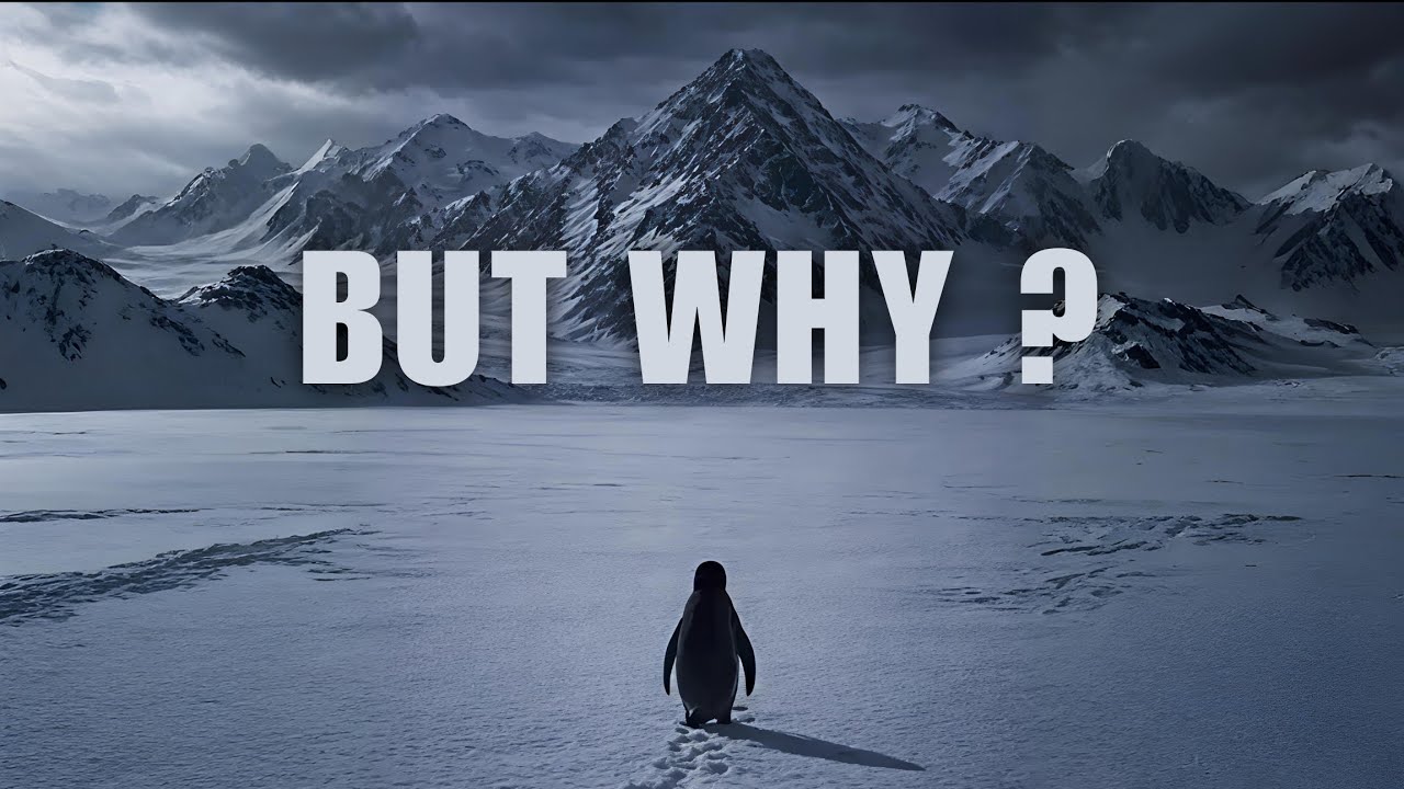 The Penguin That Left Everything Behind | But Why?