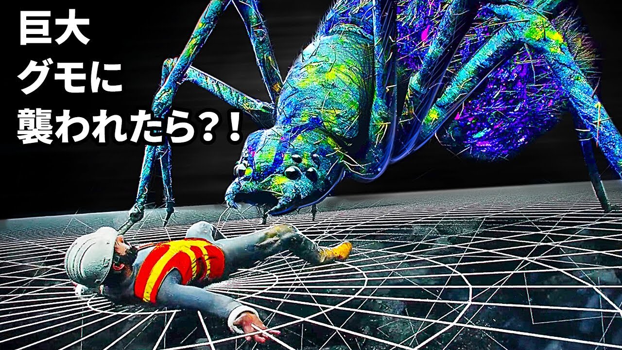 巨大グモの巣に引っかかったら 3dアニメ Youtube