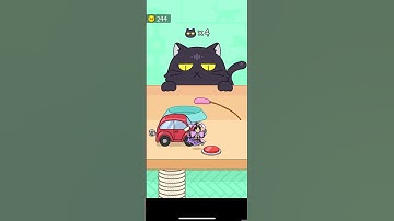 Hide and Seek Cat Escape #8| #shorts