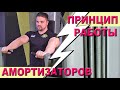 Принцип работы с амортизаторами  на примере тренажера Калмакова  #ТренажерыКалмакова #амортизаторы