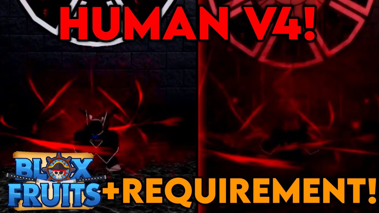 How to get Human V4 in Blox Fruits – Roblox