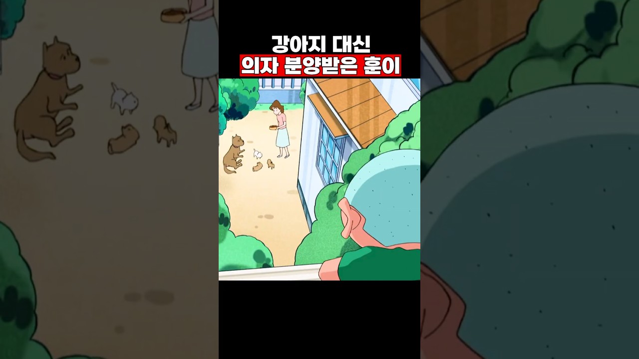 강아지를 위한 최고의 선택 #짱구