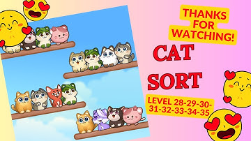 GAME CAT SORT || PLAYING THE CUTEST GAME WITH KITTENS 😺 || level 28-29-30-31-32-33-34-35