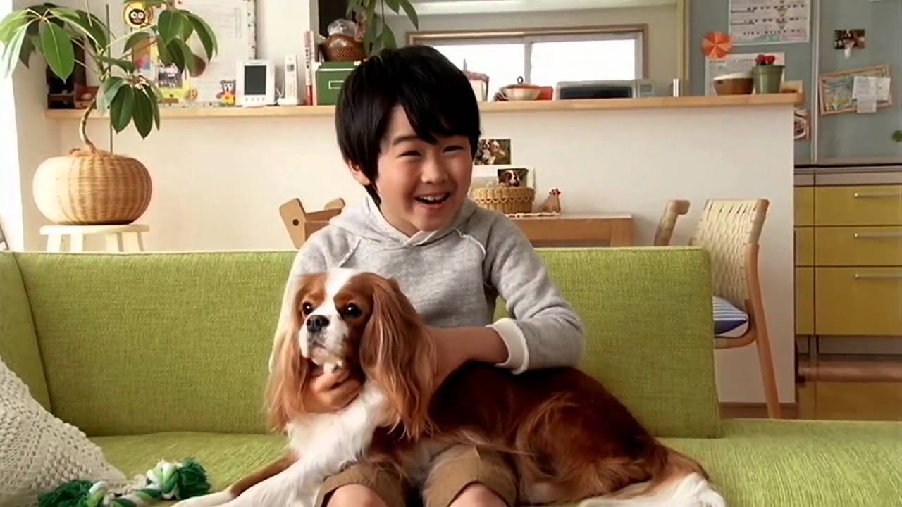 いいなCM　P&G　アイムス　鈴木福　5つの健康　15秒・30秒