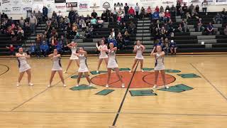 PHS Cheer Halftime @ Region Basketball (2019)