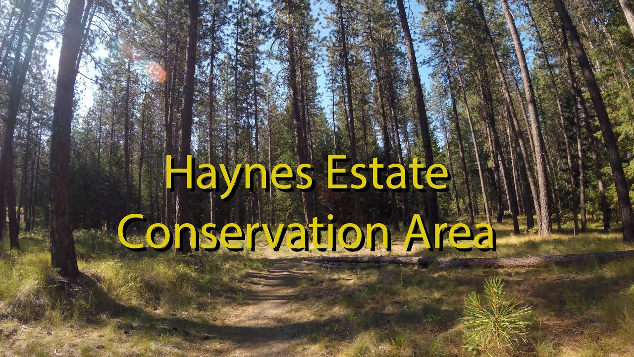 Haynes Estate Conservation Area, ASMR Hiking YouTube