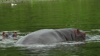 Letaba Junction- Tzaneen- Limpopo