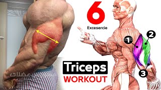 How To Build Your Triceps workout Fast (6 Effective Exercises)-تمارين الترايسبس