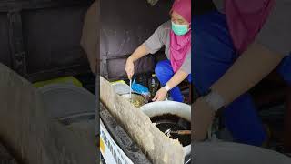 Lumpia basah khas Bandung yang jualan nya pake motor #lumpiabasah #wisatakuliner #kulinerbandung