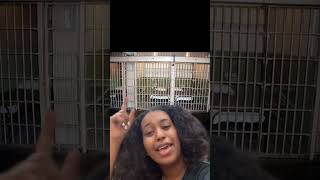 He belongs behind bars #fyp