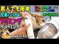 簡単！初心者おすすめ！犬 猫のトリミング 足裏バリカン やり方 使い方【Neabot P1 Pro】キャバリア・サマーカット ヘアケア 掃除機 #1405